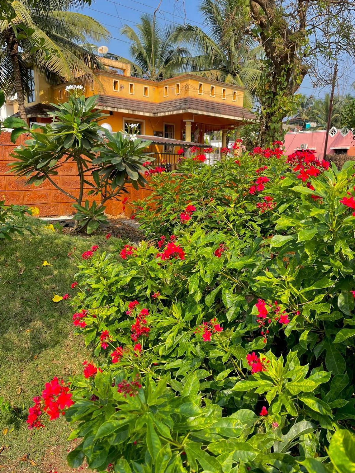 Scarlet Resort Алибаг Екстериор снимка